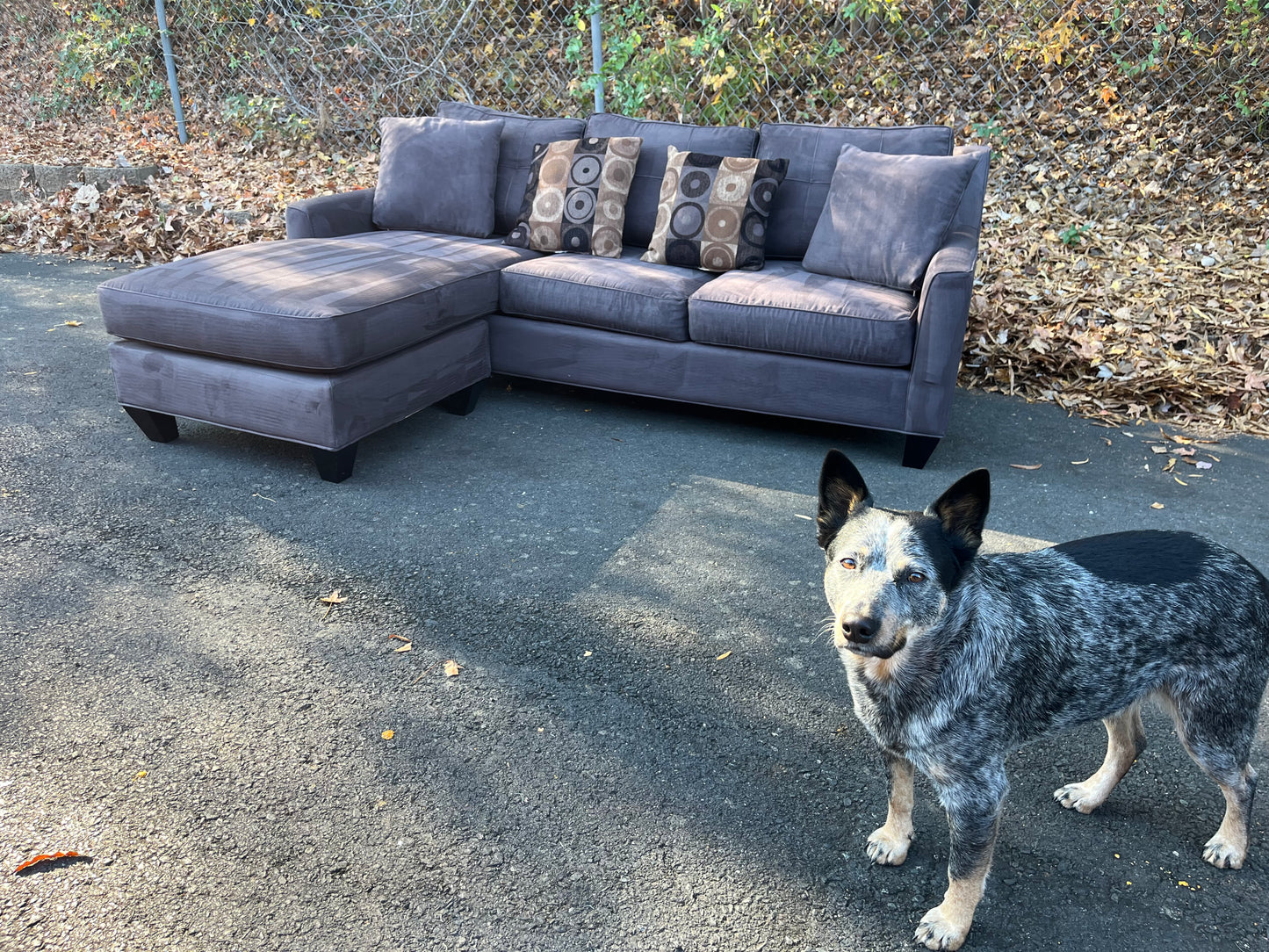 Reversible chaise Cindy Crawford sectional